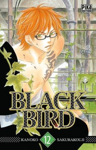 Black bird tome 12